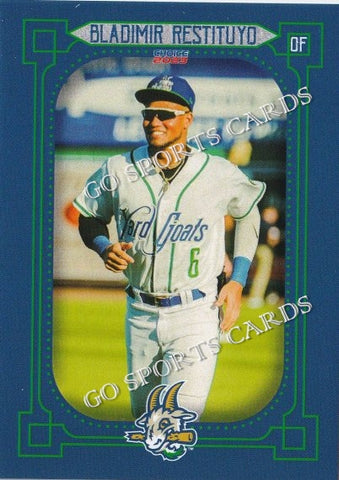 2023 Hartford Yard Goats Bladimir Restituyo