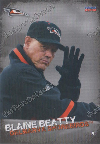 2016 Delmarva Shorebirds Blaine Beatty