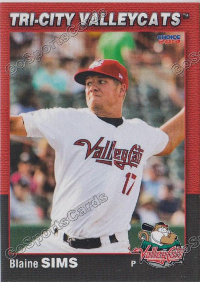 2014 Tri City ValleyCats Blaine Sims