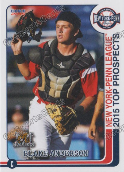 2015 New York Penn League Top Prospect NYPL Blake Anderson