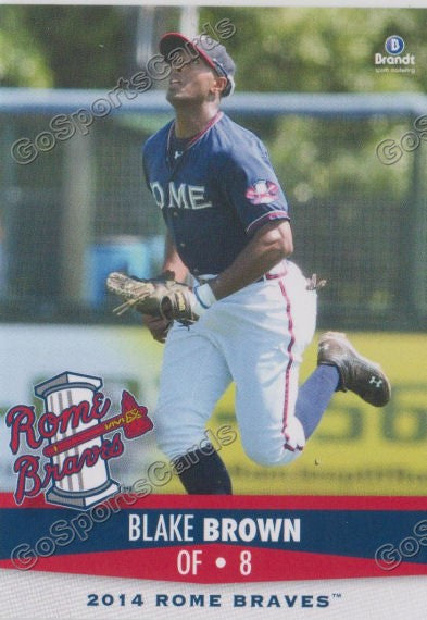 2014 Rome Braves Blake Brown