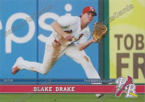 2017 Palm Beach Cardinals Blake Drake