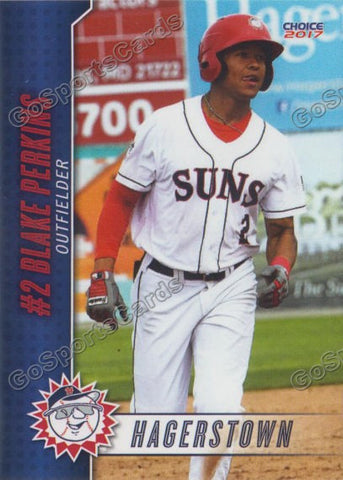 2017 Hagerstown Suns Blake Perkins