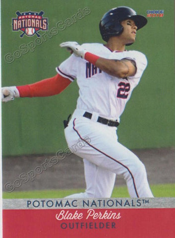 2018 Potomac Nationals Blake Perkins