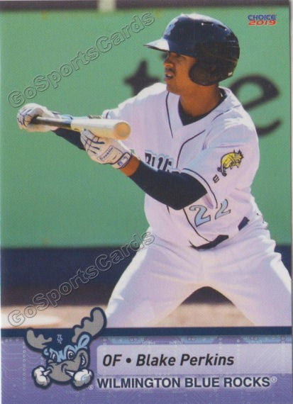2019 Wilmington Blue Rocks Blake Perkins