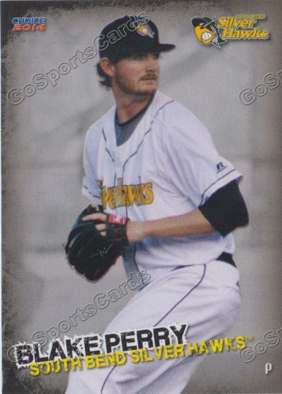 2014 South Bends Silver Hawks Blake Perry