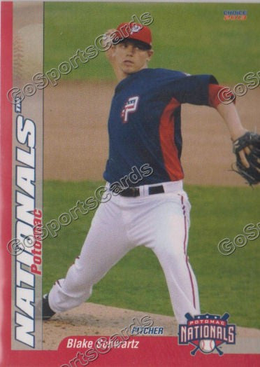 2013 Potomac Nationals Blake Schwartz