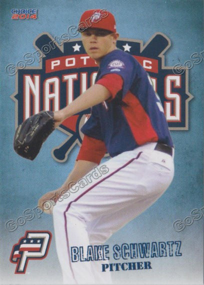 2014 Potomac Nationals Blake Schwartz