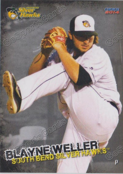 2014 South Bends Silver Hawks Blayne Weller