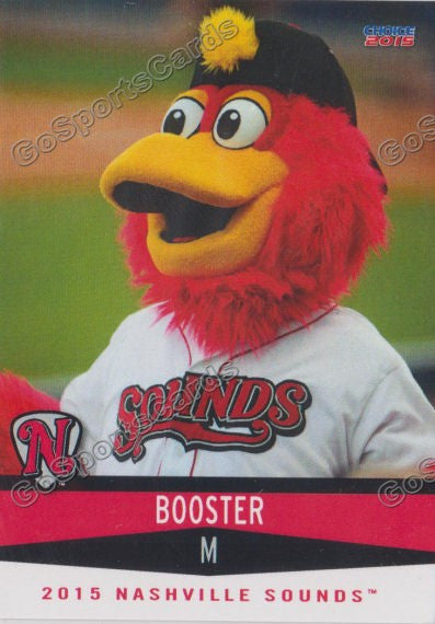 2015 Nashville Sounds Booster Mascot