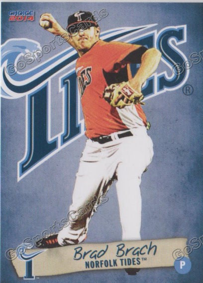 2014 Norfolk Tides Brad Brach