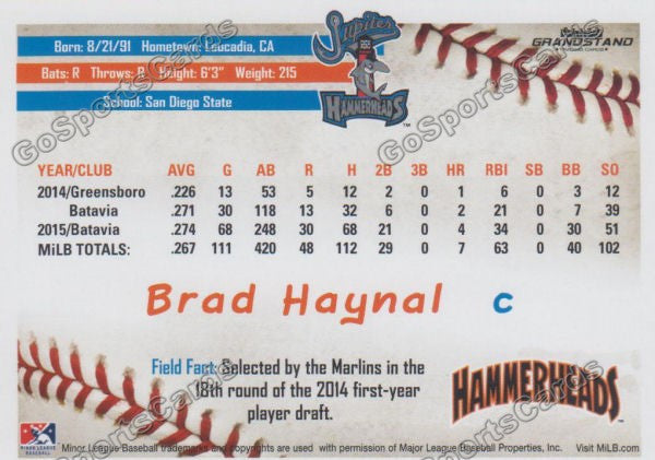 2016 Jupiter Hammerheads Brad Haynal  Back of Card
