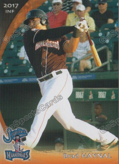 2017 Jupiter Hammerheads Brad Haynal