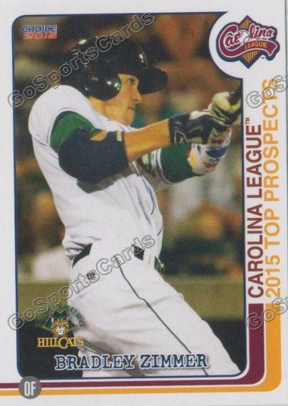 2015 Carolina League Top Prospect Bradley Zimmer