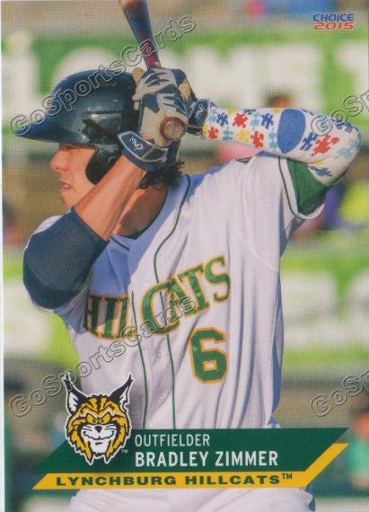 2015 Lynchburg Hillcats Team Set