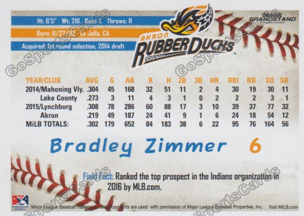2016 Akron Aeros Bradley Zimmer Back of Card