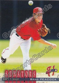 2011 Harrisburg Senators Team Set