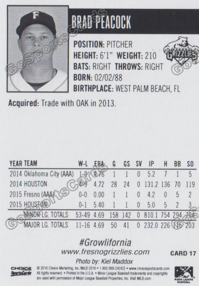 2016 Fresno Grizzlies Brad Peacock Back of Card