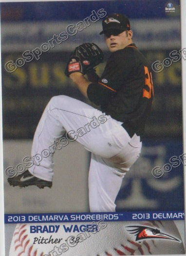 2013 Delmarva Shorebirds Brady Wager