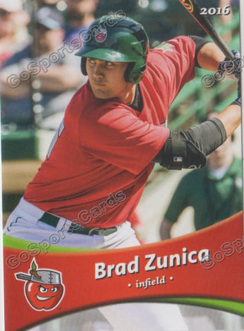 2016 Fort Wayne Tin Caps Brad Zunica