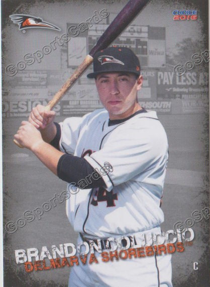 2016 Delmarva Shorebirds Brandon Coluccio