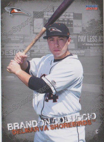 2016 Delmarva Shorebirds Brandon Coluccio