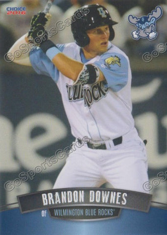 2016 Wilmington Blue Rocks Brandon Downes