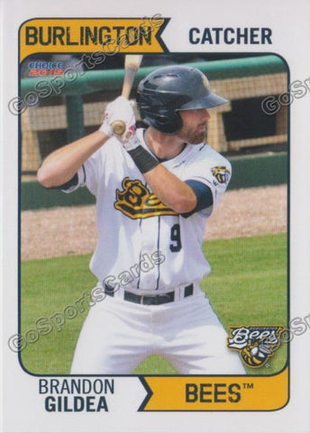 2015 Burlington Bees Brandon Gildea