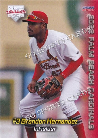 2022 Palm Beach Cardinals Brandon Hernandez