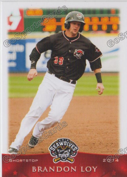 2014 Erie Seawolves Brandon Loy