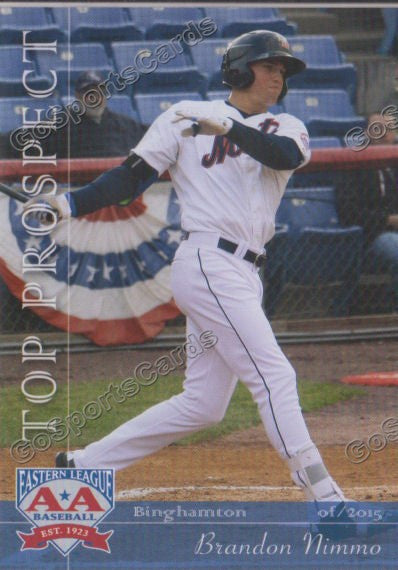 2015 Eastern League Top Prospect Brandon Nimmo