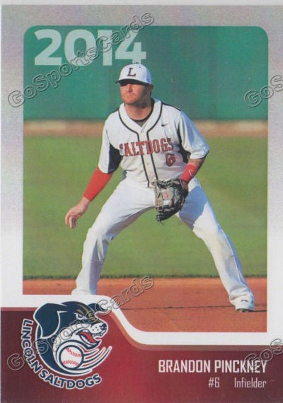 2014 Lincoln Saltdogs Brandon Pinckney