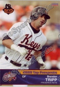 2008 Carolina League Top Prospects Brandon Tripp