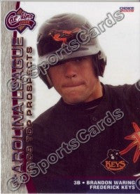 2009 Carolina League Top Prospects Brandon Waring