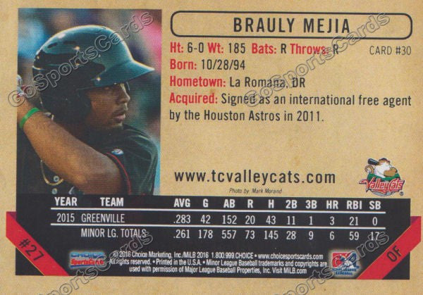 2016 Tri City ValleyCats Brauly Mejia Back of Card