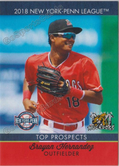 2018 New York Penn League Top Prospects NYPL Christopher Torres