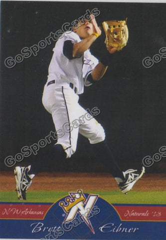 2013 Northwest Arkansas Naturals Brett Eibner