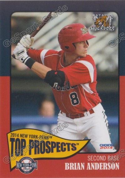 2014 New York Penn League Top Prospect NYPL Brian Anderson