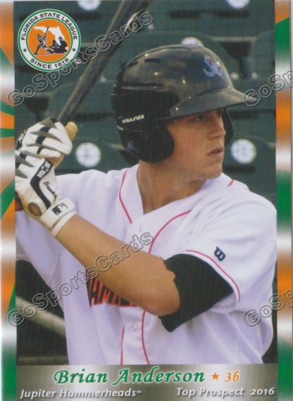 2016 Florida State League Top Prospect FSL Brian Anderson