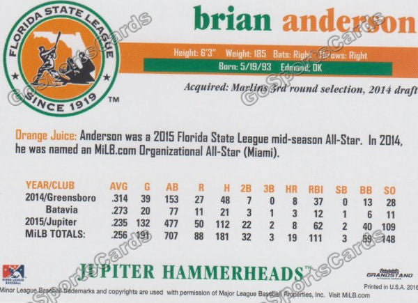 2016 Florida State League Top Prospect FSL Brian Anderson Back of Card