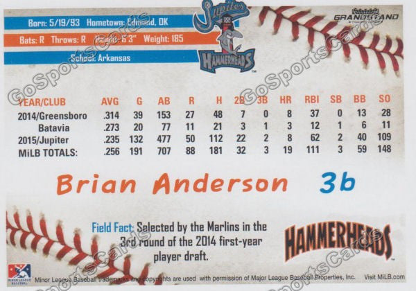 2016 Jupiter Hammerheads Brian Anderson  Back of Card