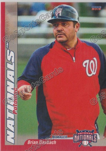 2013 Potomac Nationals Brian Daubach