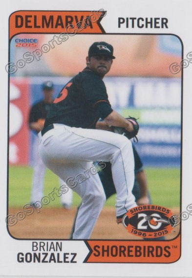 2015 Delmarva Shorebirds Brian Gonzalez