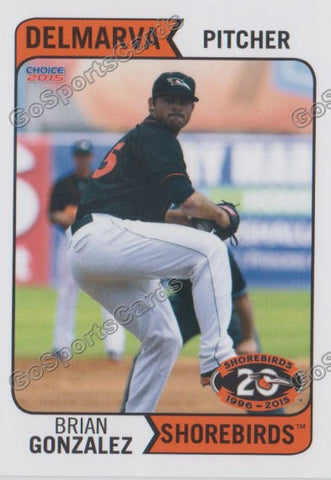 2015 Delmarva Shorebirds Brian Gonzalez