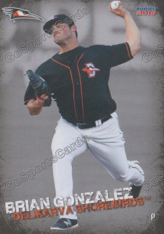 2016 Delmarva Shorebirds Brian Gonzalez
