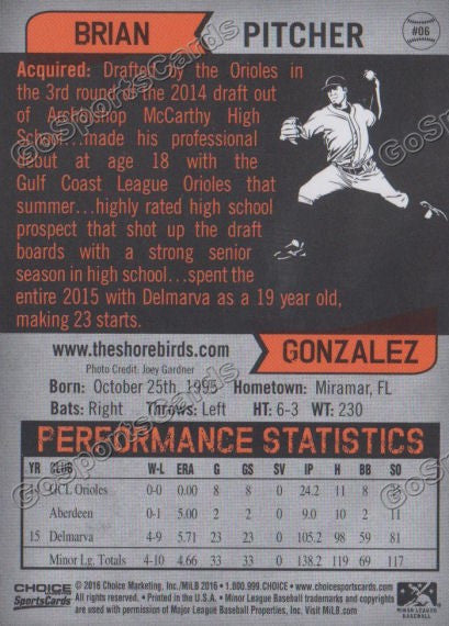 2016 Delmarva Shorebirds Brian Gonzalez  Back of Card