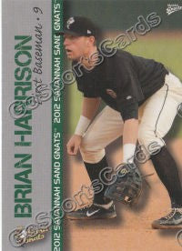 2012 Savannah Sand Gnats Brian Harrison