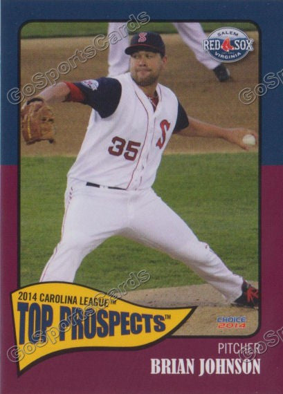 2014 Carolina League Top Prospect Brian Johnson