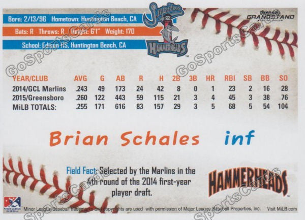 2016 Jupiter Hammerheads Brian Schales  Back of Card