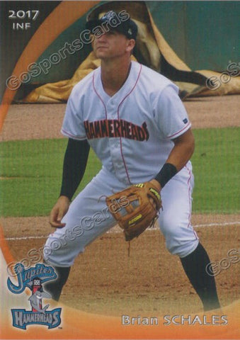 2017 Jupiter Hammerheads Brian Schales